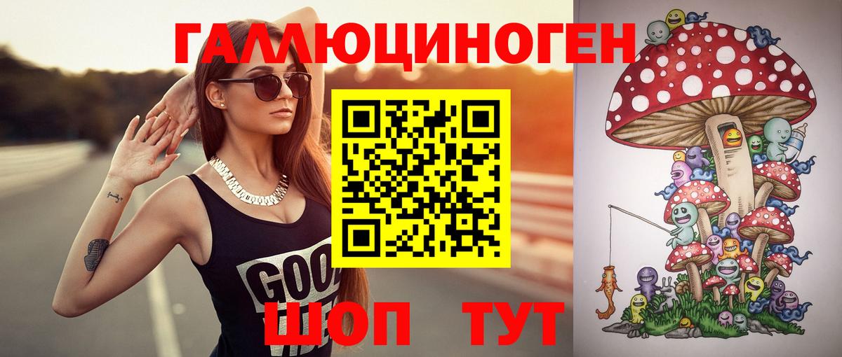 Находка  Псилоцибиновые грибы Psilocybine cubensis  Вход с VPN 